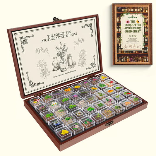 🔥The Forgotten Apothecary Seed Chest - 40 Varieties of Medicinal Herb Seeds