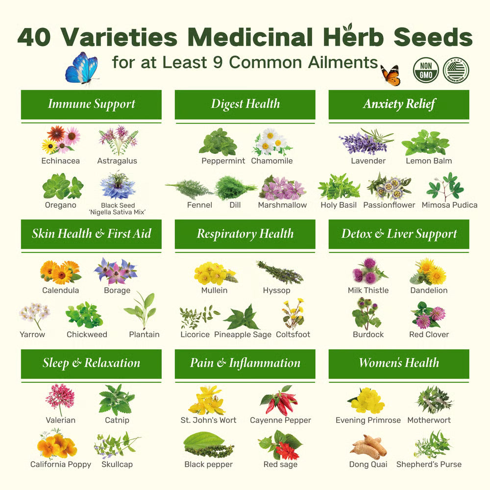 🔥The Forgotten Apothecary Seed Chest - 40 Varieties of Medicinal Herb Seeds