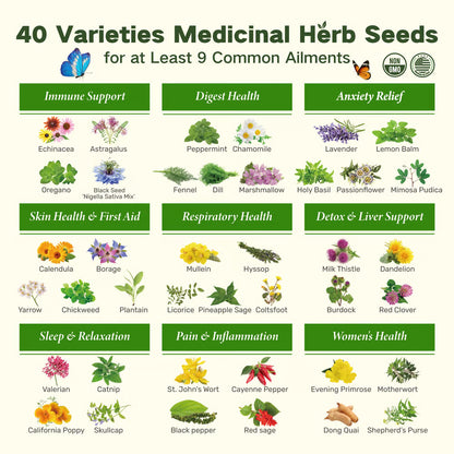 🔥The Forgotten Apothecary Seed Chest - 40 Varieties of Medicinal Herb Seeds