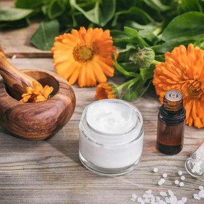 🔥The Forgotten Apothecary Seed Chest - 40 Varieties of Medicinal Herb Seeds