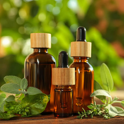 🔥The Forgotten Apothecary Seed Chest - 40 Varieties of Medicinal Herb Seeds